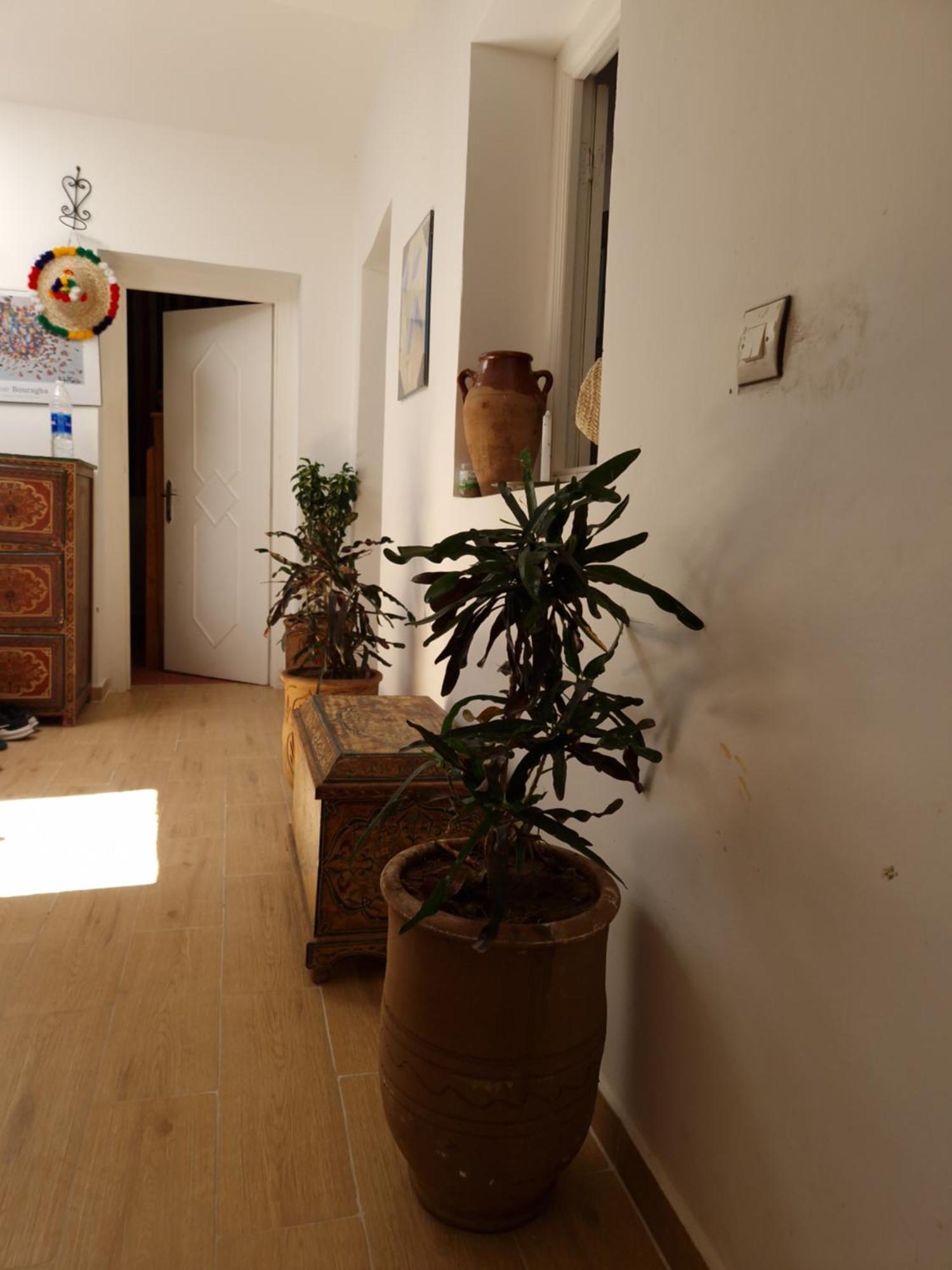 Hostel Banana Tangier Exterior photo